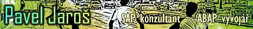 SAP konzultant ~ ABAP vývojář